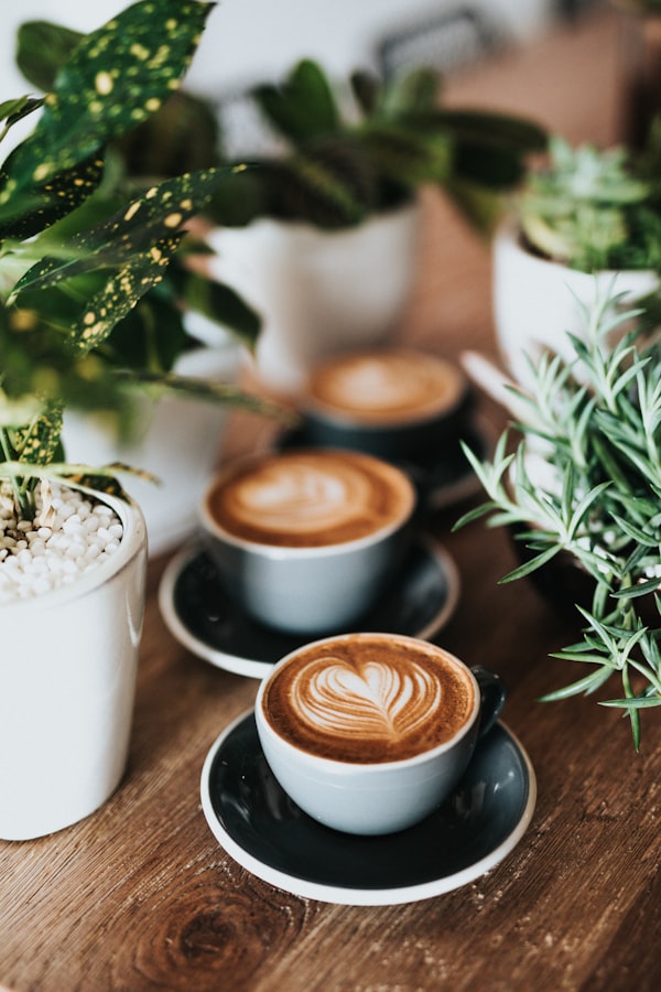 House cappuccino